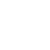 Seeking Quran